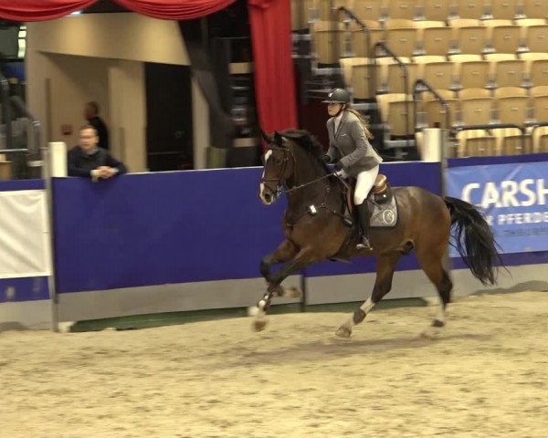 FEI Reitturnier Neumünster 2022