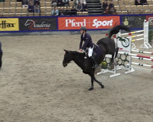 FEI Reitturnier Neumünster 2022