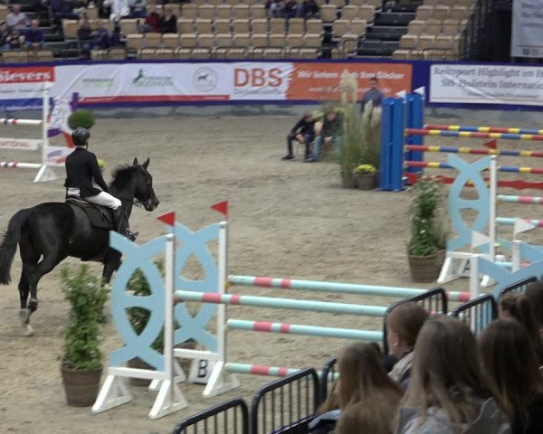 FEI Reitturnier Neumünster 2022