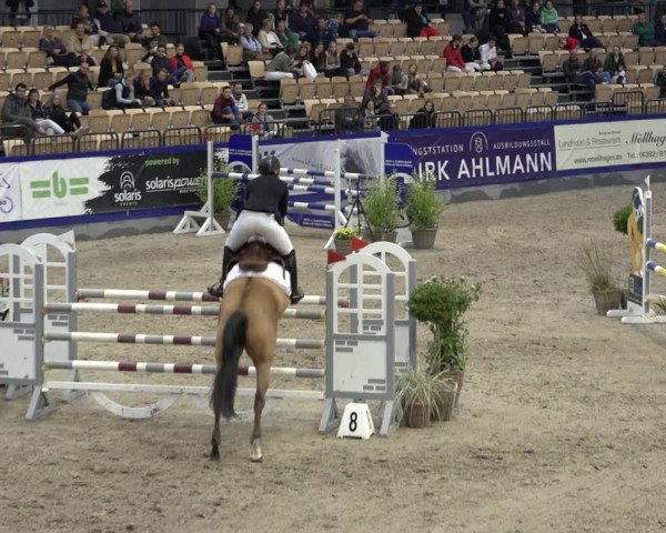 FEI Reitturnier Neumünster 2022
