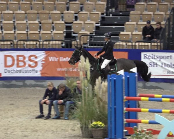 FEI Reitturnier Neumünster 2022