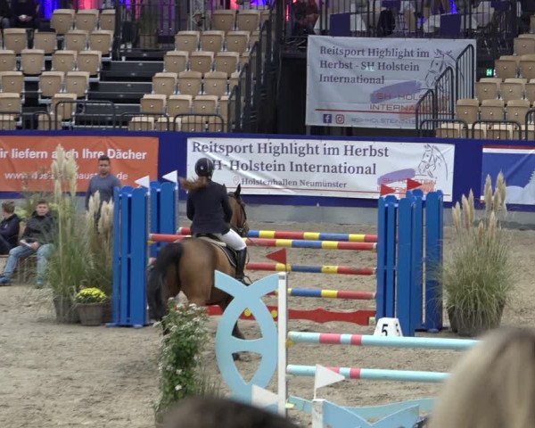 FEI Reitturnier Neumünster 2022