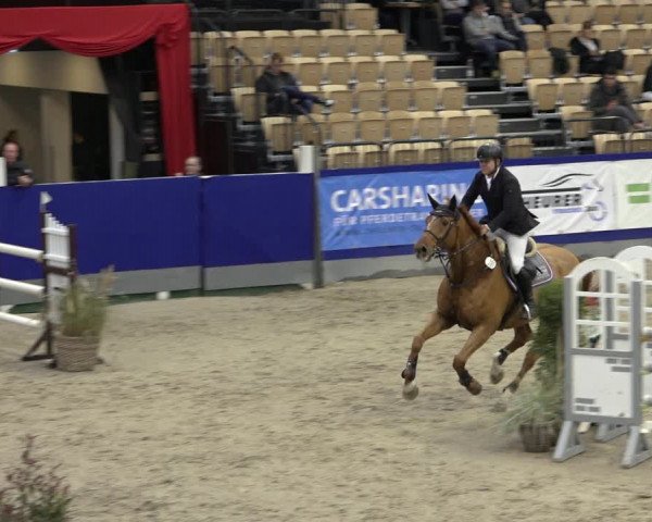 FEI Reitturnier Neumünster 2022