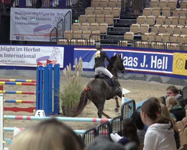 FEI Reitturnier Neumünster 2022
