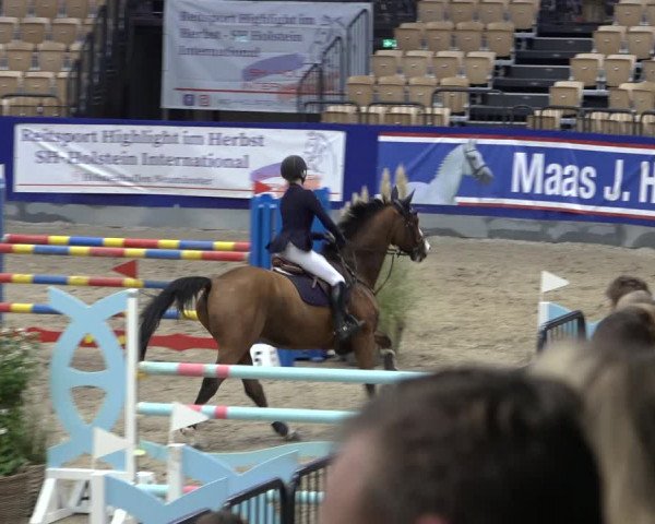 FEI Reitturnier Neumünster 2022