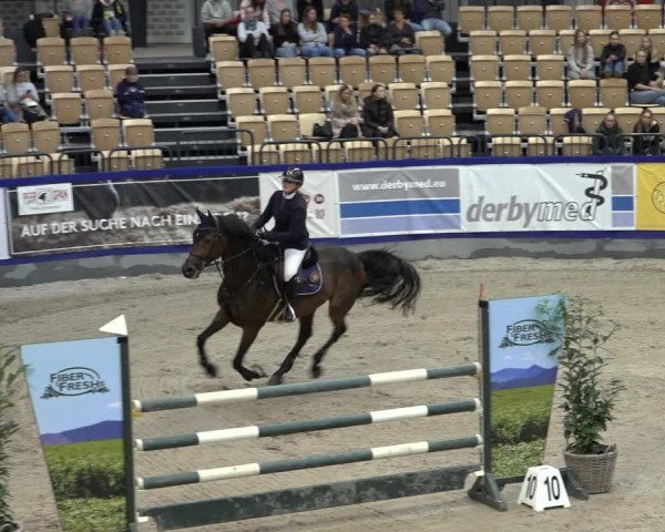 FEI Reitturnier Neumünster 2022
