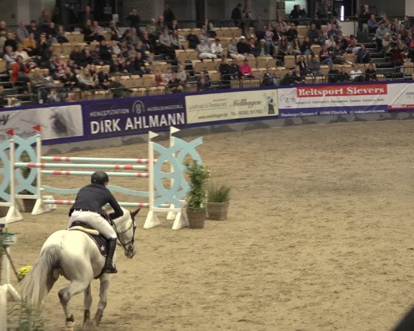 FEI Reitturnier Neumünster 2022