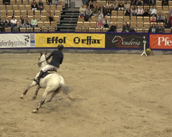 FEI Reitturnier Neumünster 2022