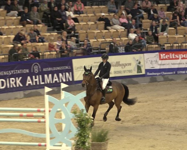 FEI Reitturnier Neumünster 2022