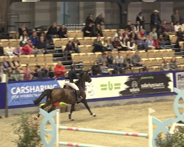 FEI Reitturnier Neumünster 2022
