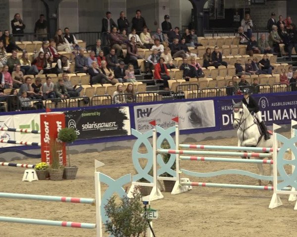 FEI Reitturnier Neumünster 2022