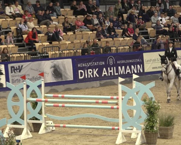 FEI Reitturnier Neumünster 2022