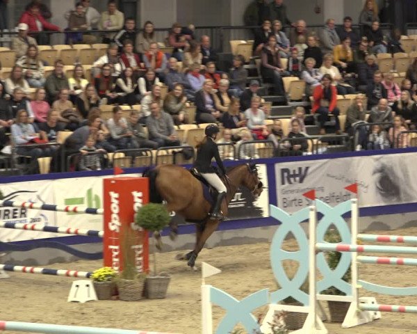 FEI Reitturnier Neumünster 2022