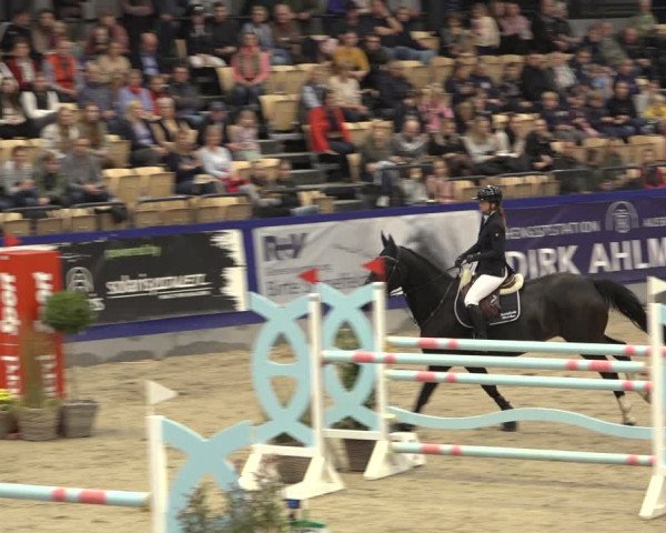 FEI Reitturnier Neumünster 2022