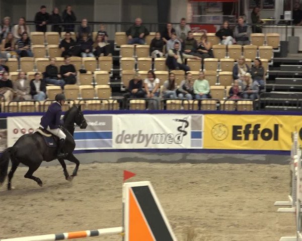 FEI Reitturnier Neumünster 2022