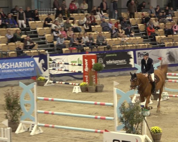 FEI Reitturnier Neumünster 2022