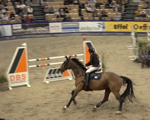 FEI Reitturnier Neumünster 2022