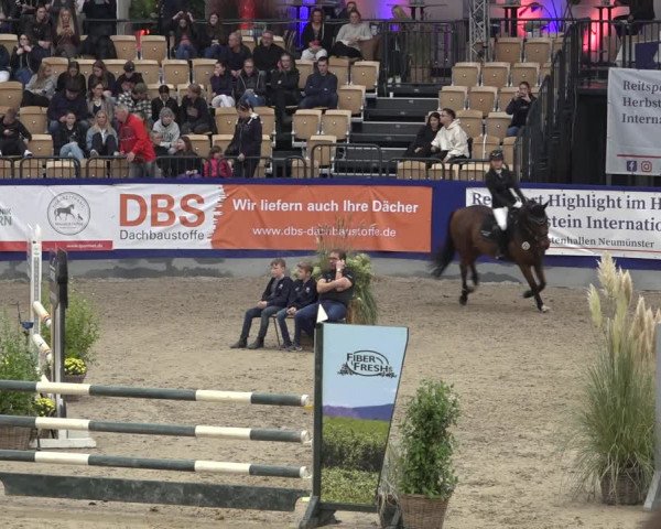 FEI Reitturnier Neumünster 2022