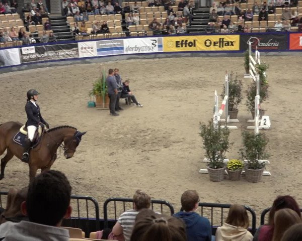 FEI Reitturnier Neumünster 2022