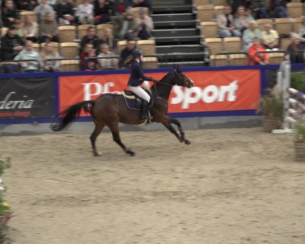 FEI Reitturnier Neumünster 2022