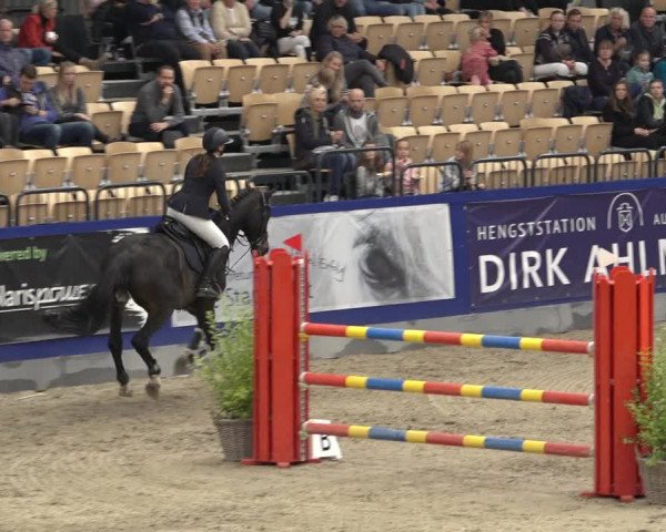 FEI Reitturnier Neumünster 2022