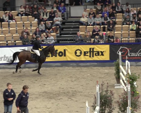 FEI Reitturnier Neumünster 2022