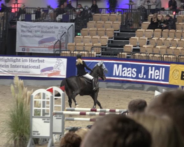 FEI Reitturnier Neumünster 2022