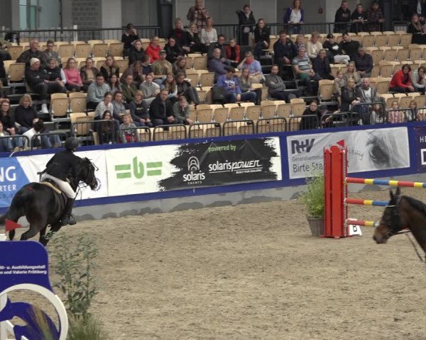 FEI Reitturnier Neumünster 2022