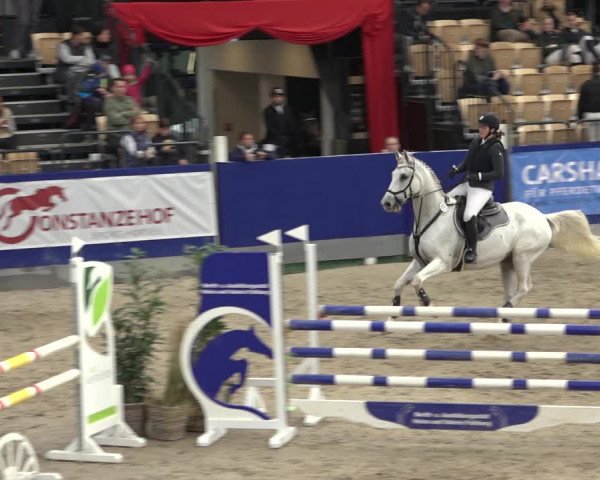 FEI Reitturnier Neumünster 2022
