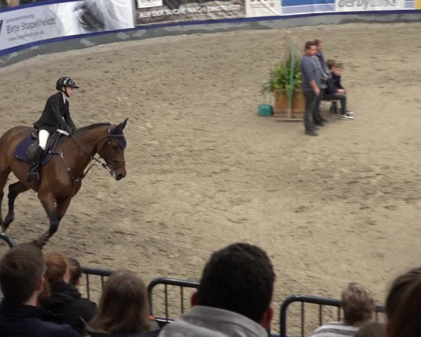 FEI Reitturnier Neumünster 2022