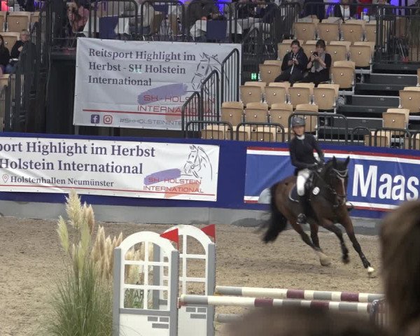 FEI Reitturnier Neumünster 2022