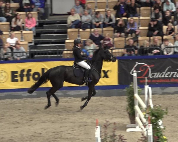 FEI Reitturnier Neumünster 2022