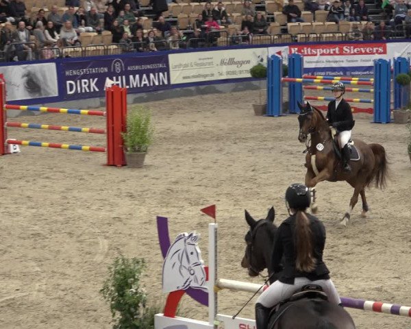 FEI Reitturnier Neumünster 2022