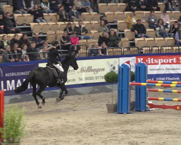 FEI Reitturnier Neumünster 2022