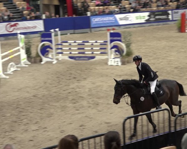 FEI Reitturnier Neumünster 2022