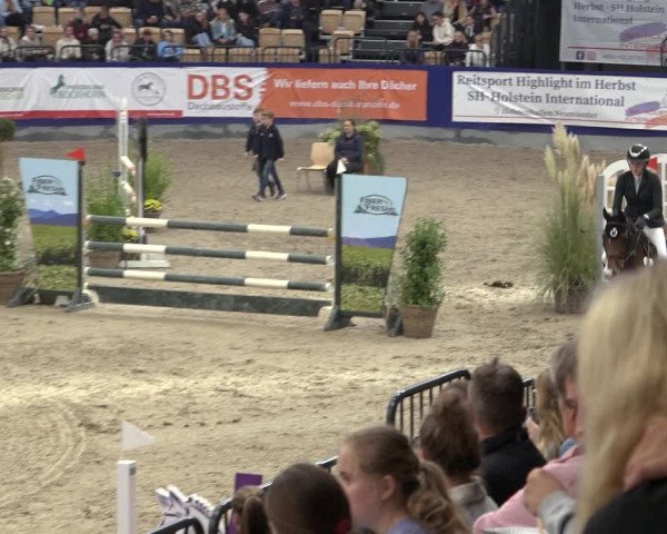 FEI Reitturnier Neumünster 2022
