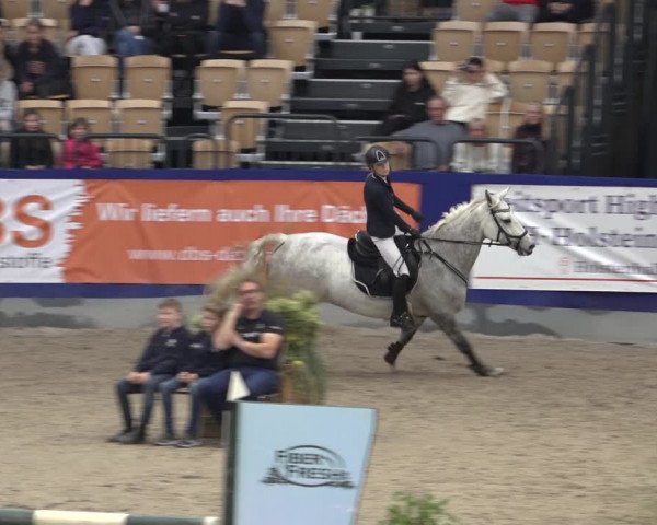 FEI Reitturnier Neumünster 2022