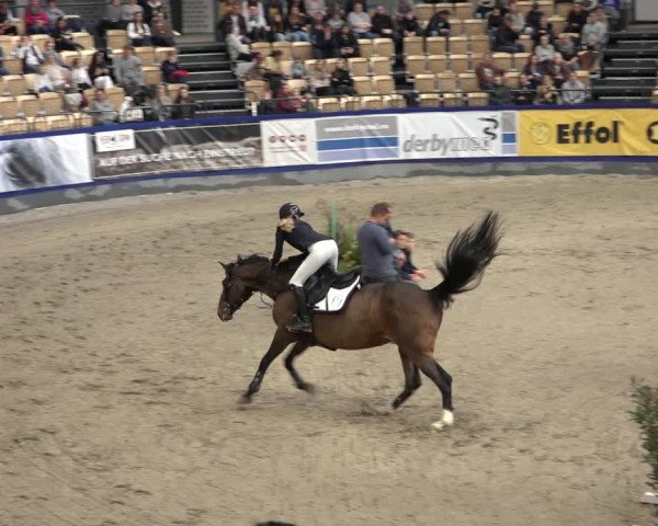 FEI Reitturnier Neumünster 2022