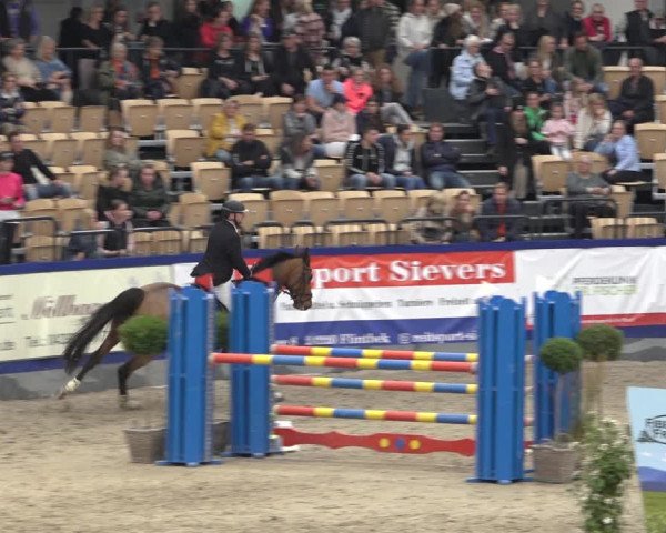 FEI Reitturnier Neumünster 2022