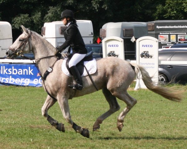 jumper Angriff B (Hanoverian, 1997, from Athletico)