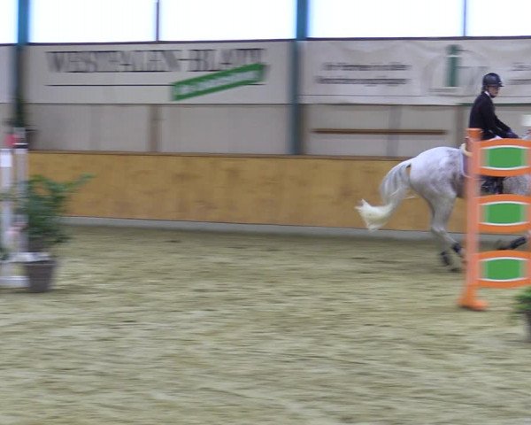 Reitturnier Steinhagen 2022