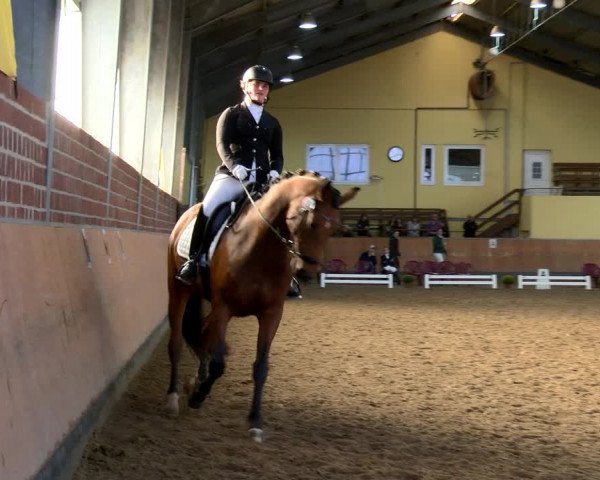 Reitturnier Frechen-Grefrath - Sonnenhof 2022