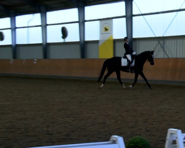 Reitturnier Frechen-Grefrath - Sonnenhof 2022