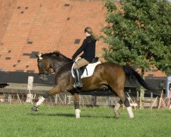 dressage horse Fuzzi (Rhinelander, 1997, from Florestan I)