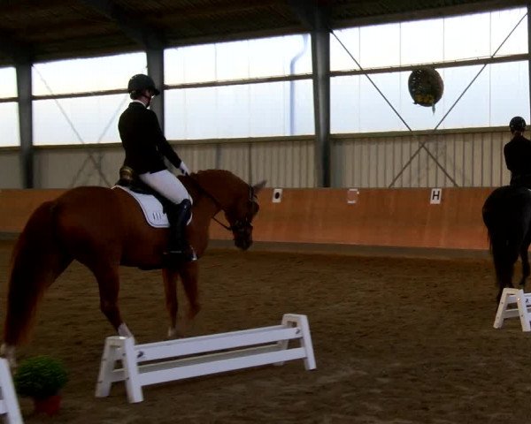 Reitturnier Frechen-Grefrath - Sonnenhof 2022