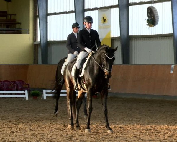 Reitturnier Frechen-Grefrath - Sonnenhof 2022