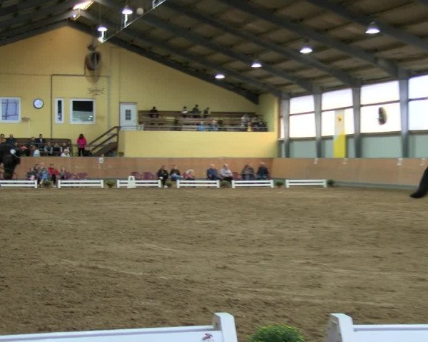 Reitturnier Frechen-Grefrath - Sonnenhof 2022