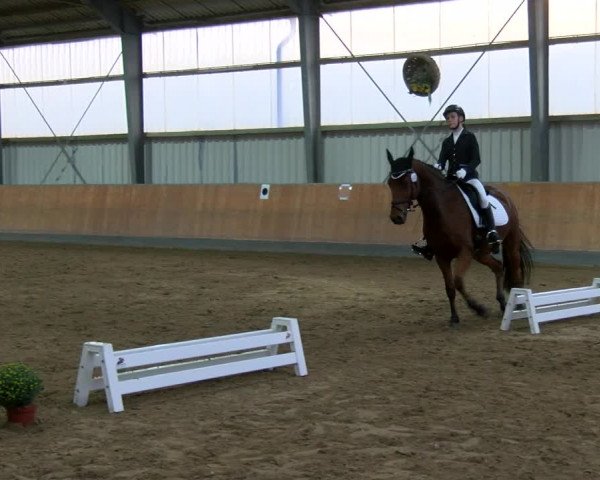 Reitturnier Frechen-Grefrath - Sonnenhof 2022