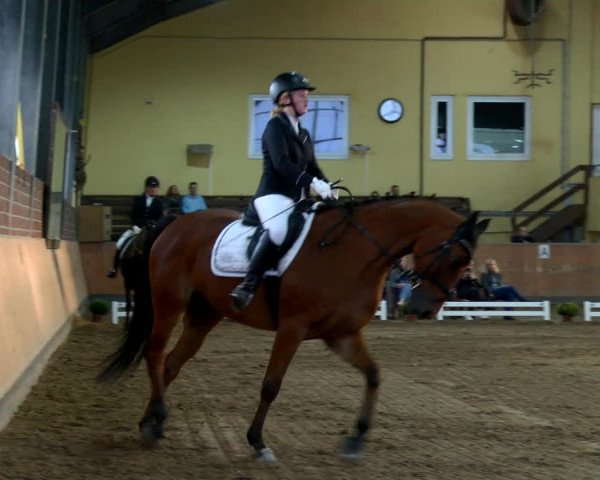 Reitturnier Frechen-Grefrath - Sonnenhof 2022