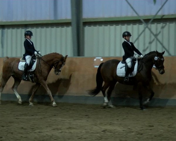 Reitturnier Frechen-Grefrath - Sonnenhof 2022